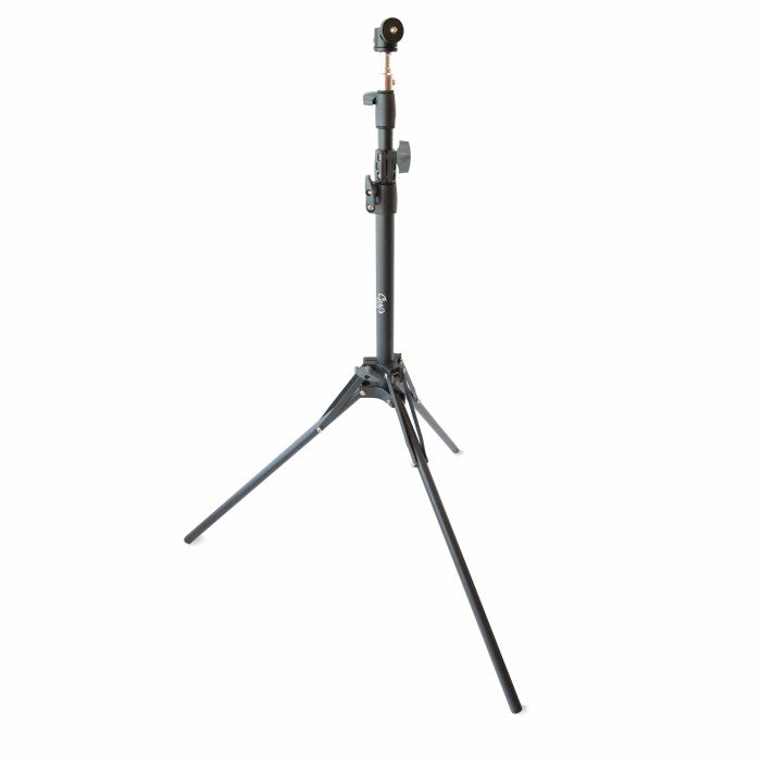 Carls Place Swing Cameras