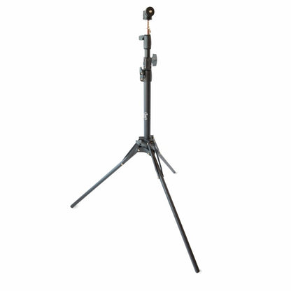 Carls Place Swing Cameras
