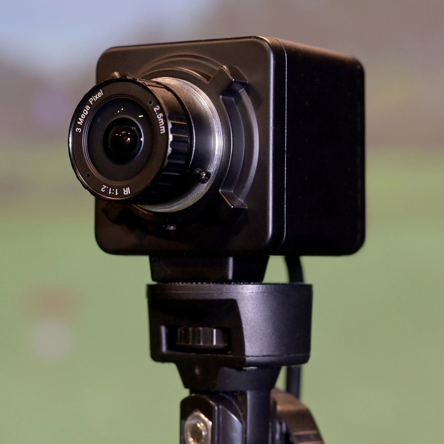 Carls Place Swing Cameras